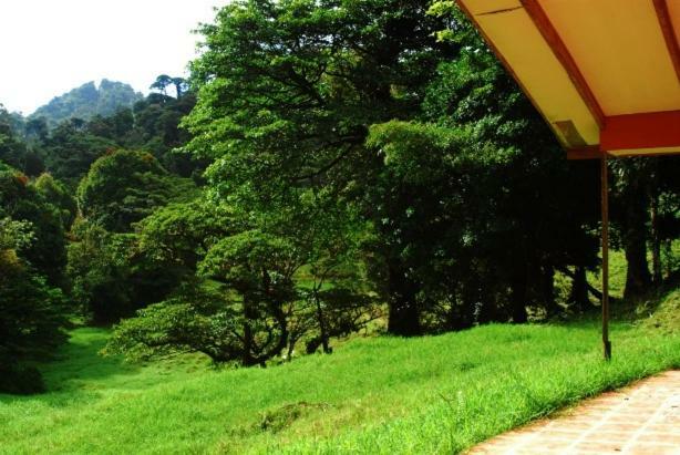 Finca Terra Viva Monteverde Exterior foto